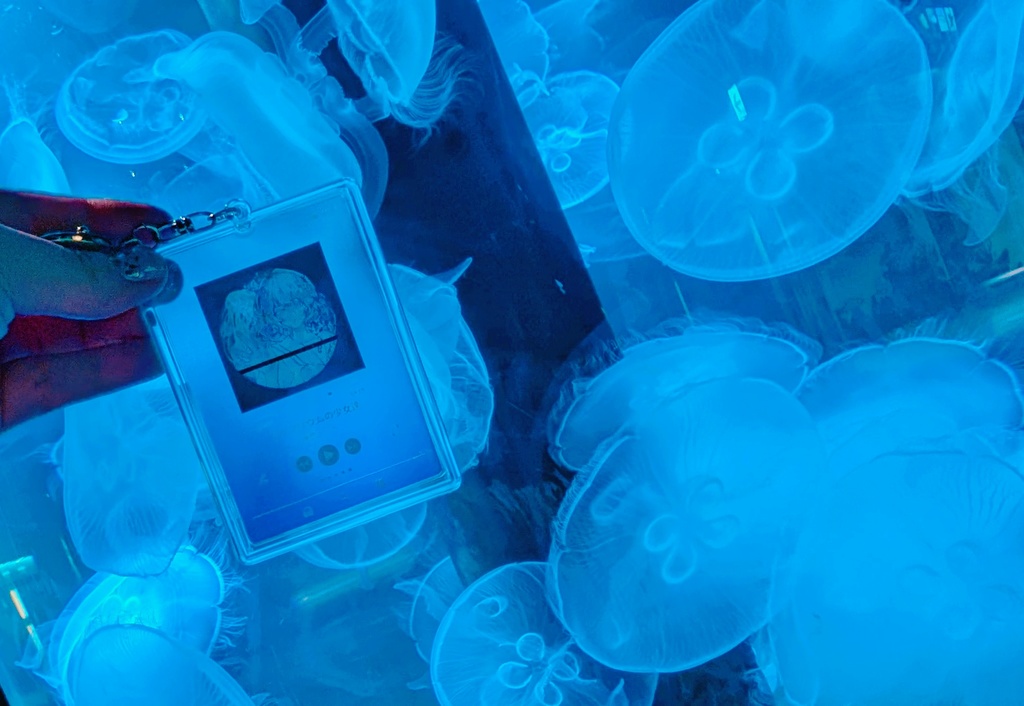 【予約】アクアリウムの少女達*アクリルカード【再販】