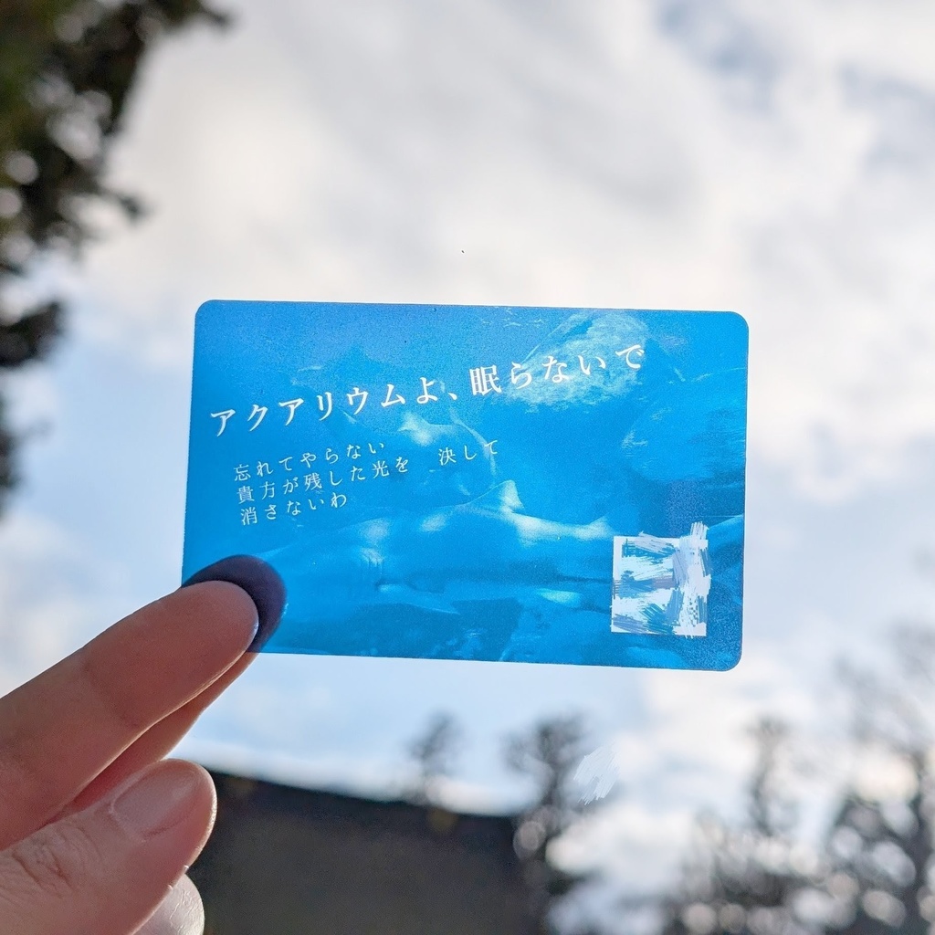 【予約】アクアリウムよ、眠らないで