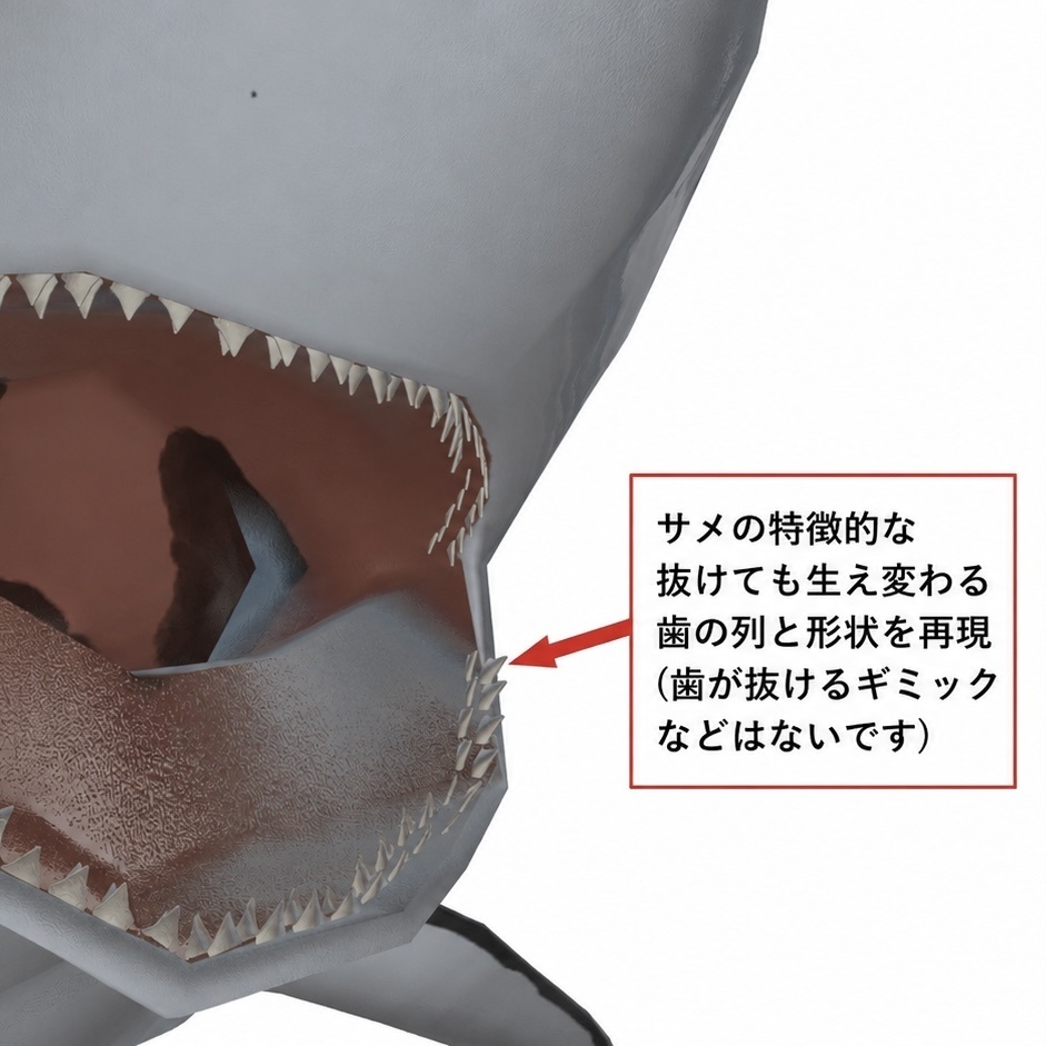 【One Coin Avatars】VRChat向けオリジナル3Dモデル「プヨオオメジロザメ(BullShark)」ver1.00