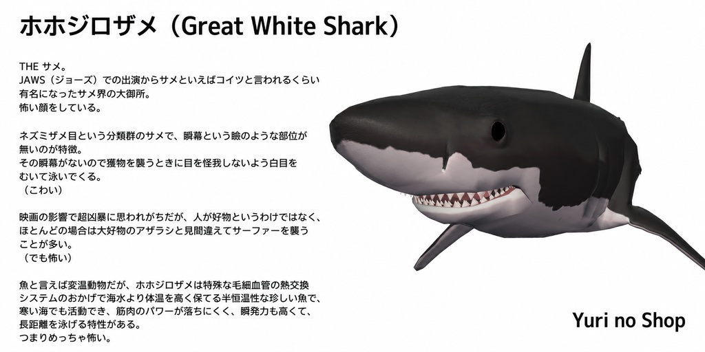 【One Coin Avatars】VRChat向けオリジナル3Dモデル「ホホジロザメ(Greatewhiteshark)」ver1.00