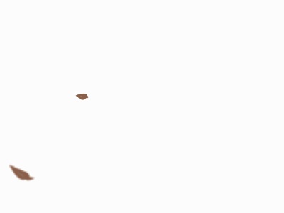 【APNG】風に舞う葉っぱのアニメーション