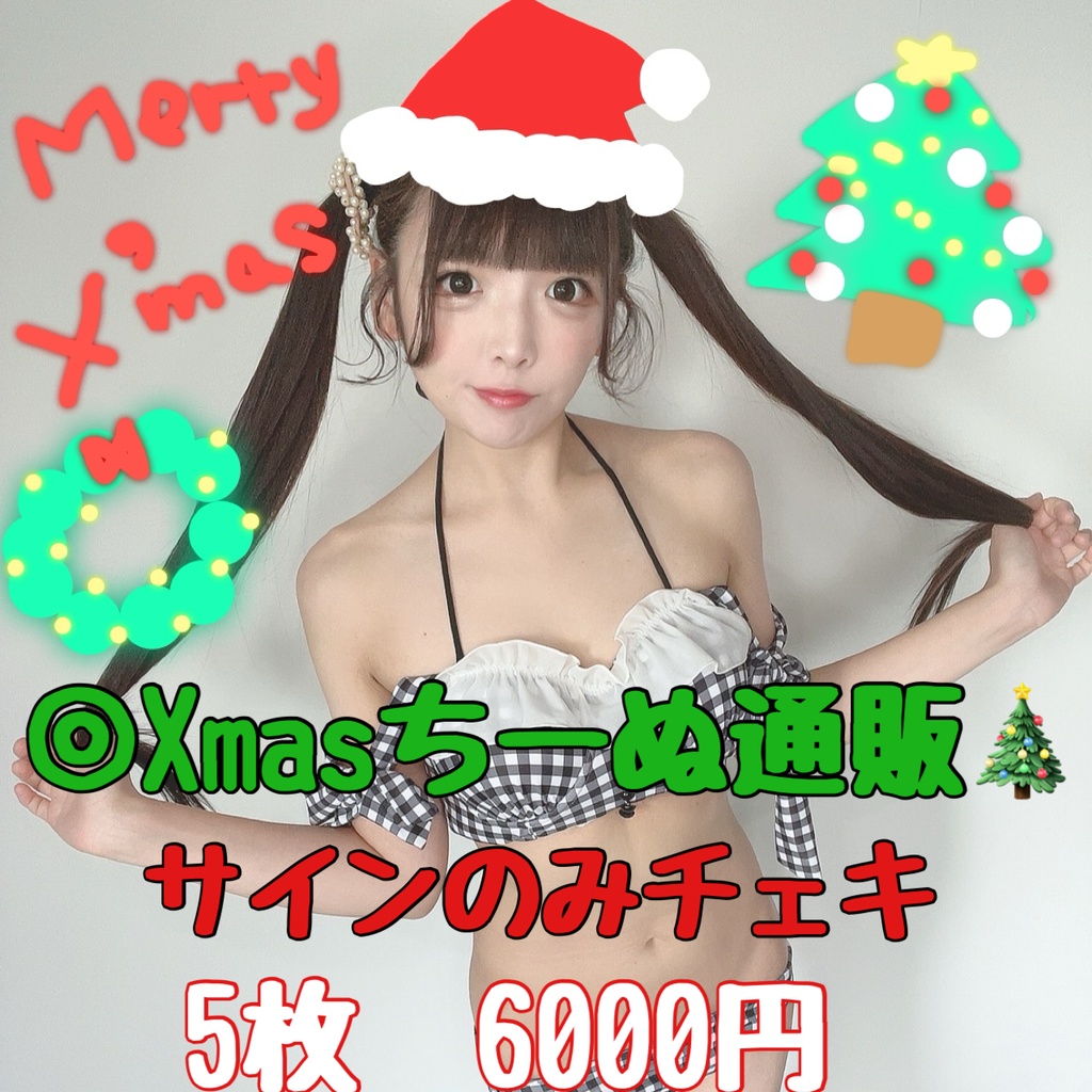 【Xmas限定】サインのみチェキ　5枚