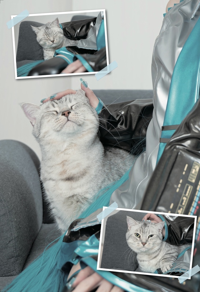 しらゆきミクマス写真集『マスターとミクの日常』