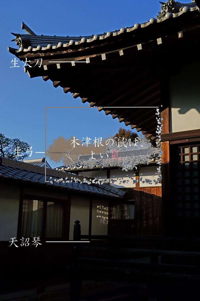 TRPGシナリオ集(CoC/inS) 「鼠が塩を引く」