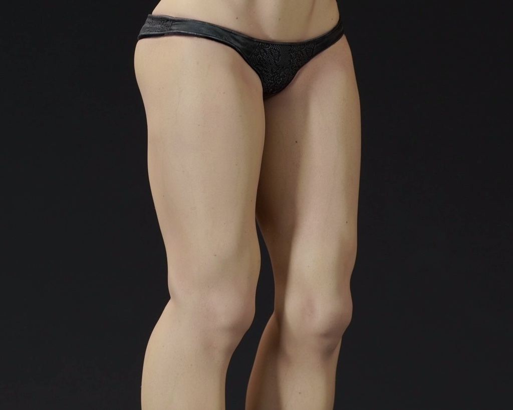 1/6スケール 未組み立てガレージキット「委員長は帰らない」