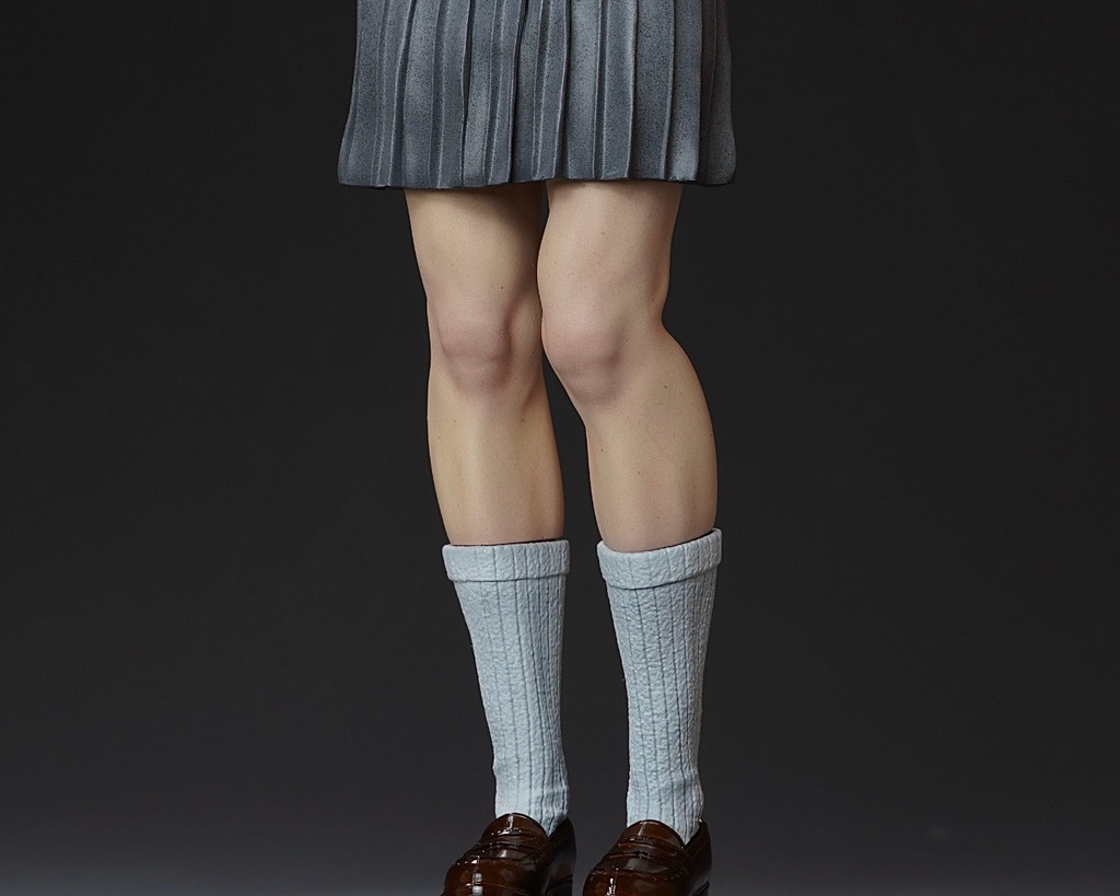 1/6スケール 未組み立てガレージキット「委員長は帰らない」