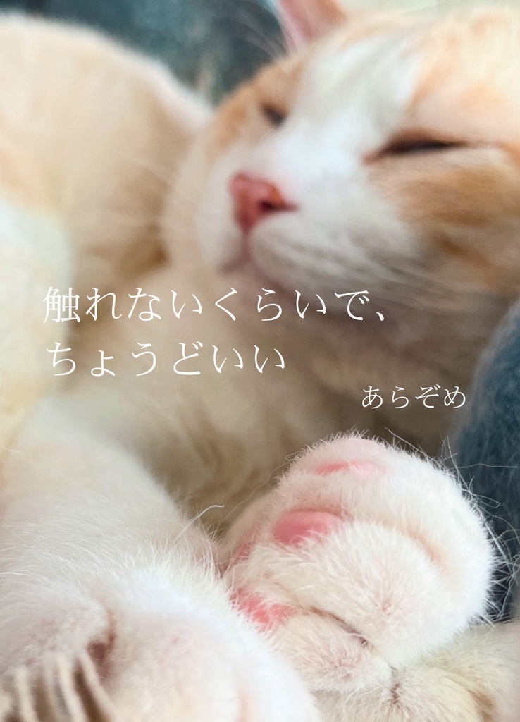 触れないくらいで、ちょうどいい