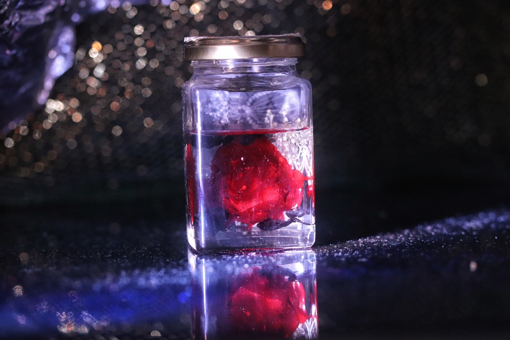 【崩壊3rd】植物標本(怪盗カレン、月下テレサ)2本セット ※ポストカード付き