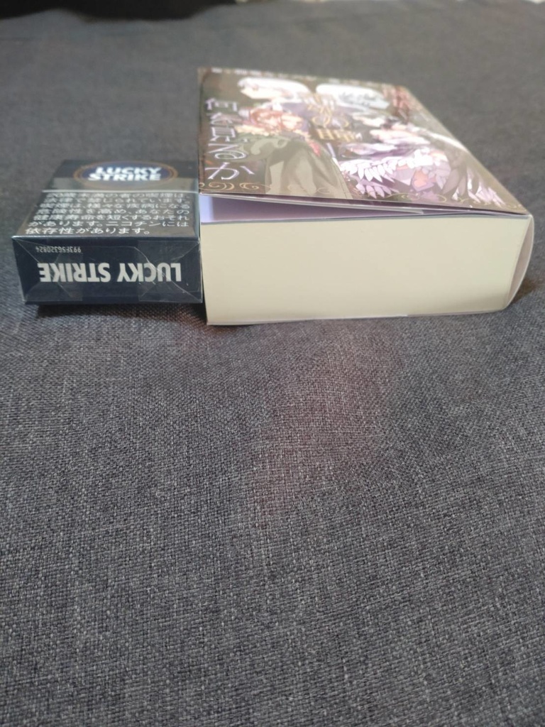 【文フリ福岡11】魔姫は不死の瞳に何を見るか