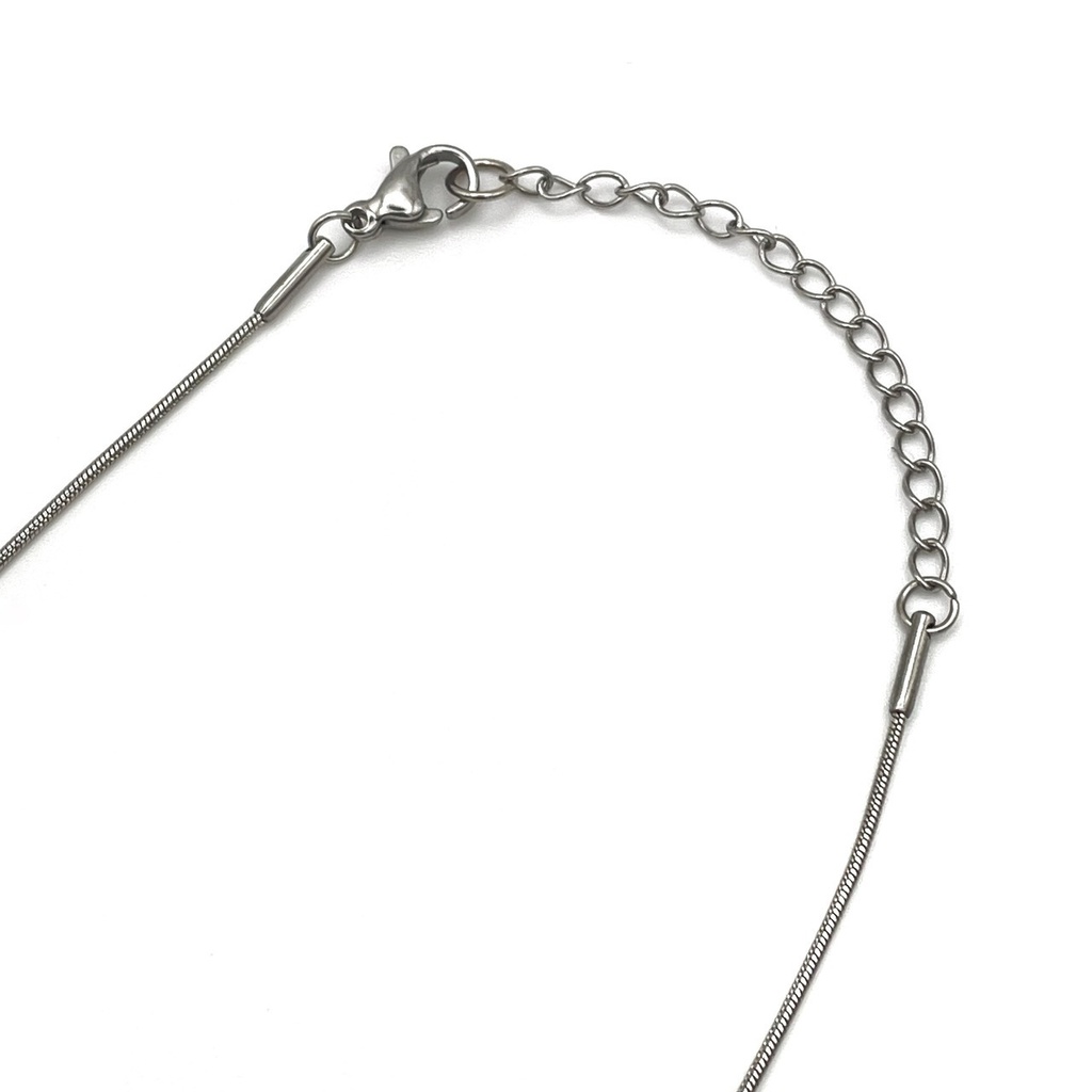 ネックレス「イワシの頭も信心から」