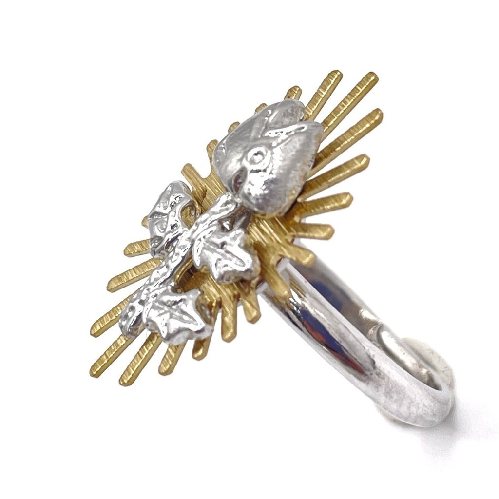 指輪「イワシの頭も信心から」