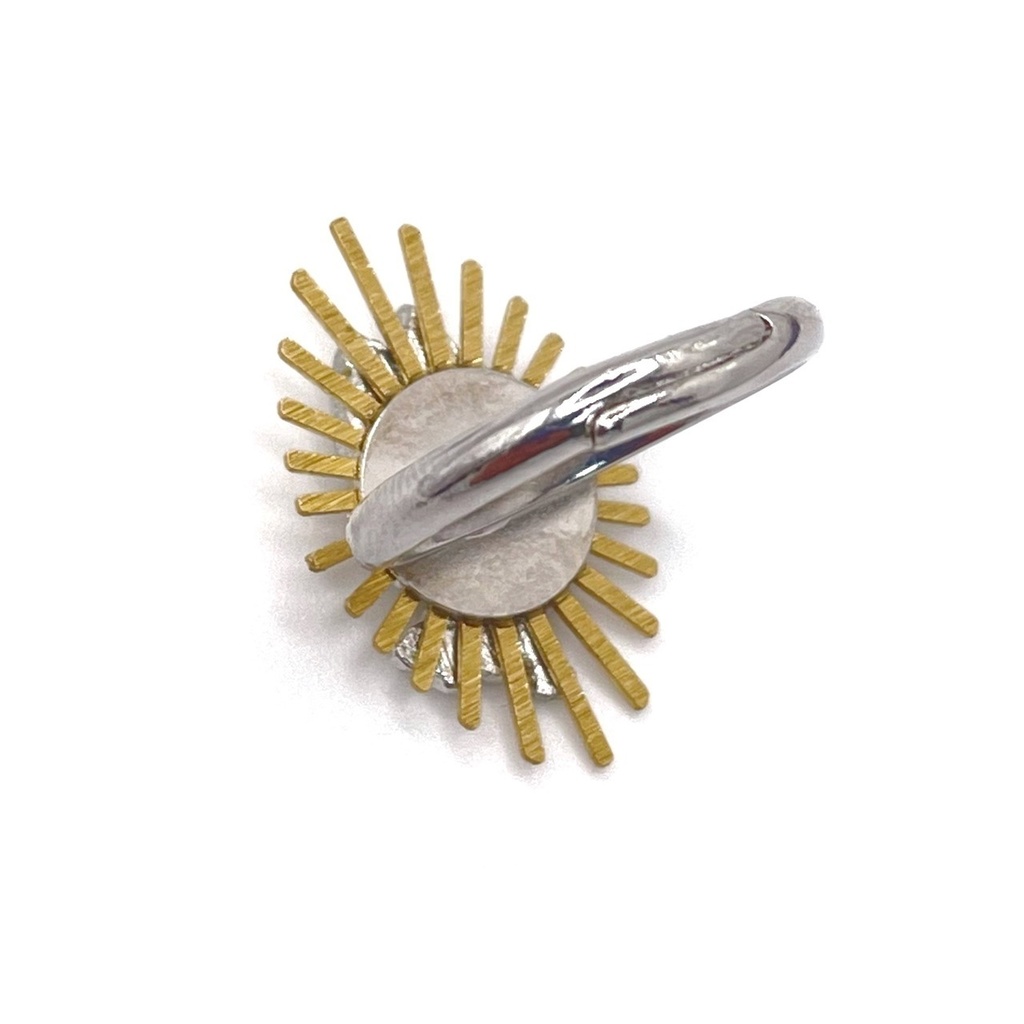 指輪「イワシの頭も信心から」