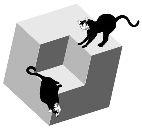 モノクロイラスト Jpegデータ Magic Cubeと黒猫 Gallery Batte La Saba Booth