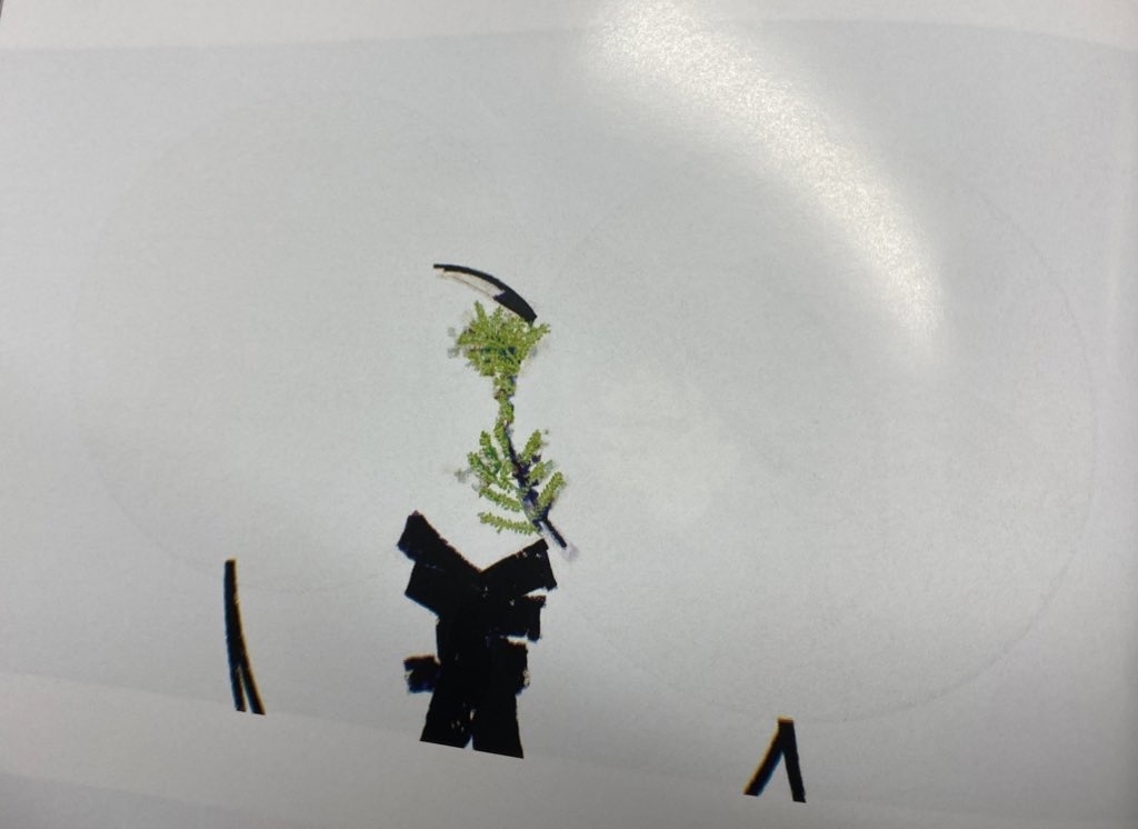 某人間