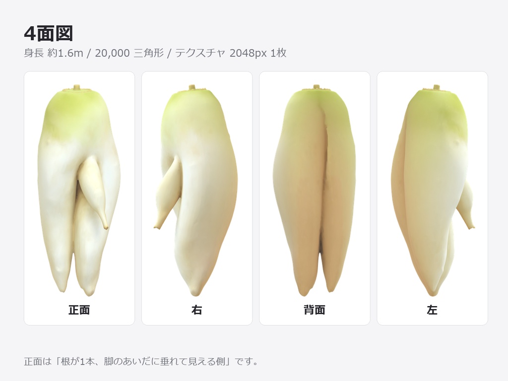 【VRM】大根