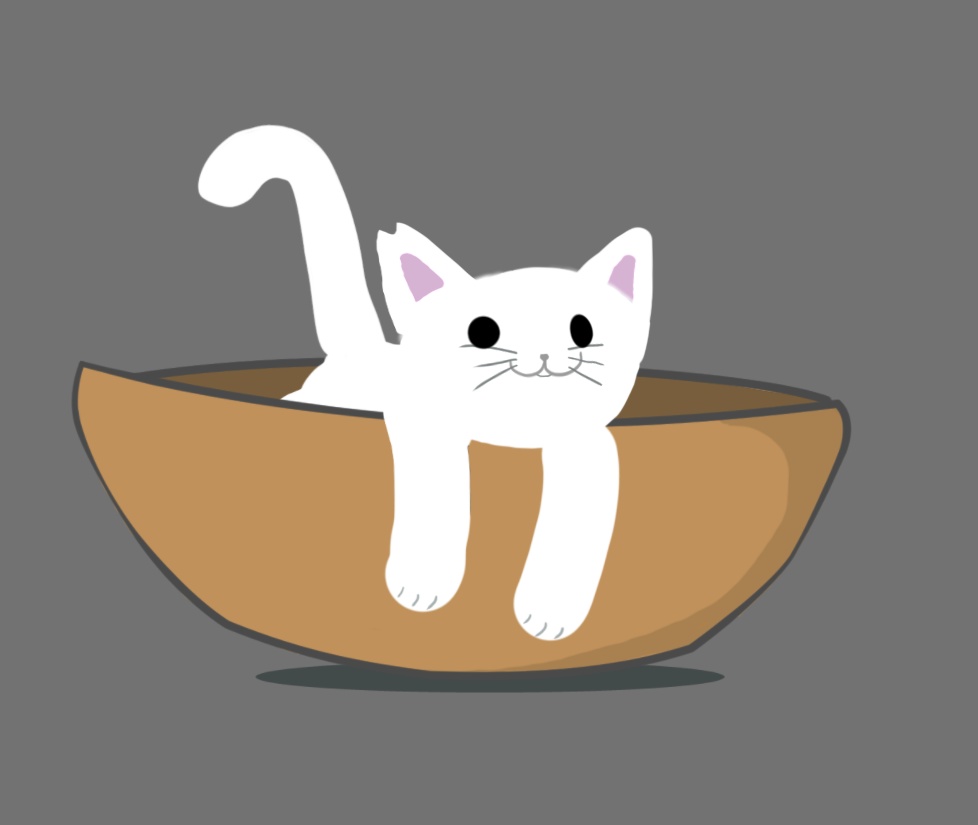 ボウル猫（白猫）