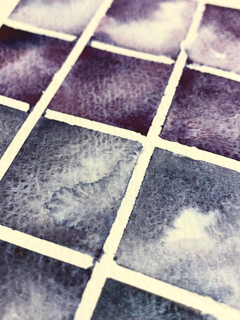【1月の新色】カラスアゲハ科の蝶　青と紫