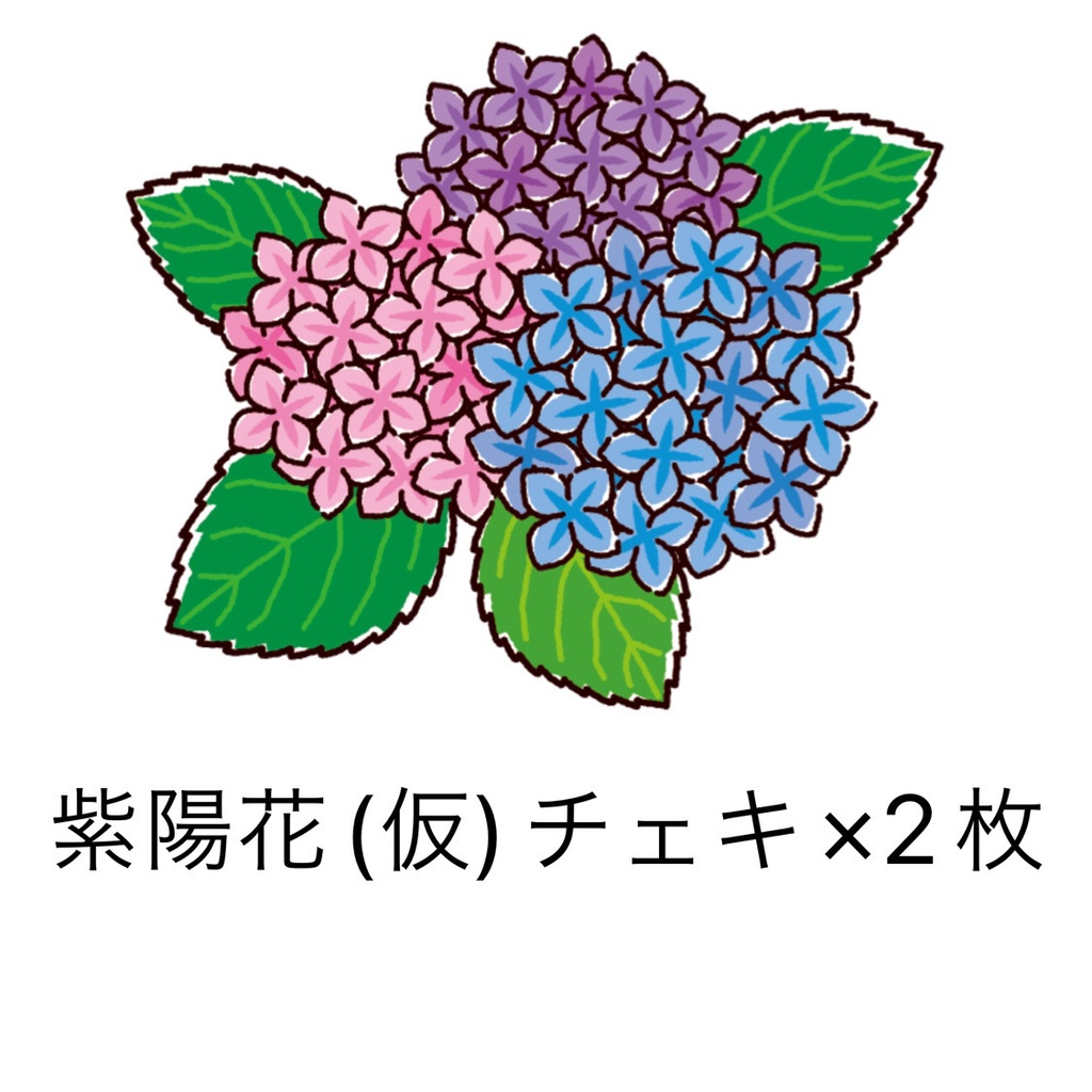紫陽花(仮)チェキ 2枚