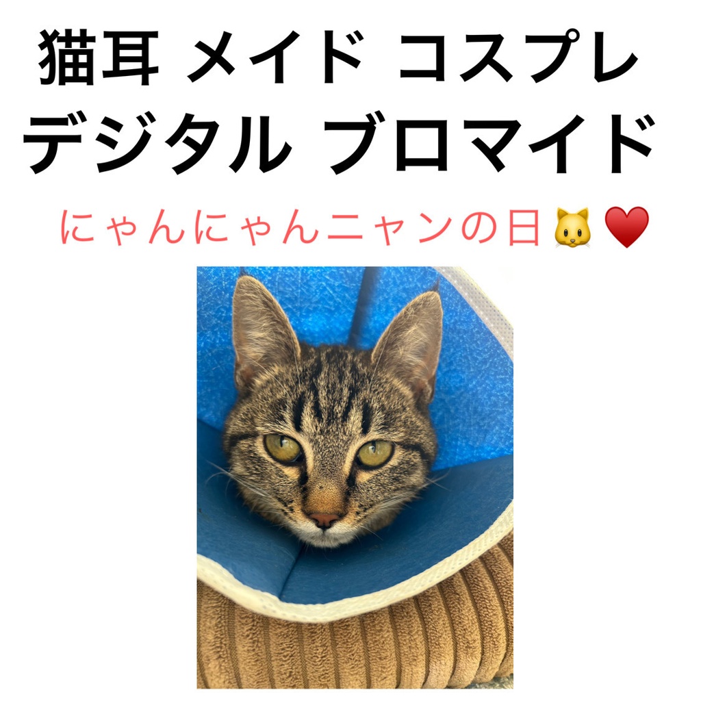 猫耳メイド コスプレ デジタルブロマイド