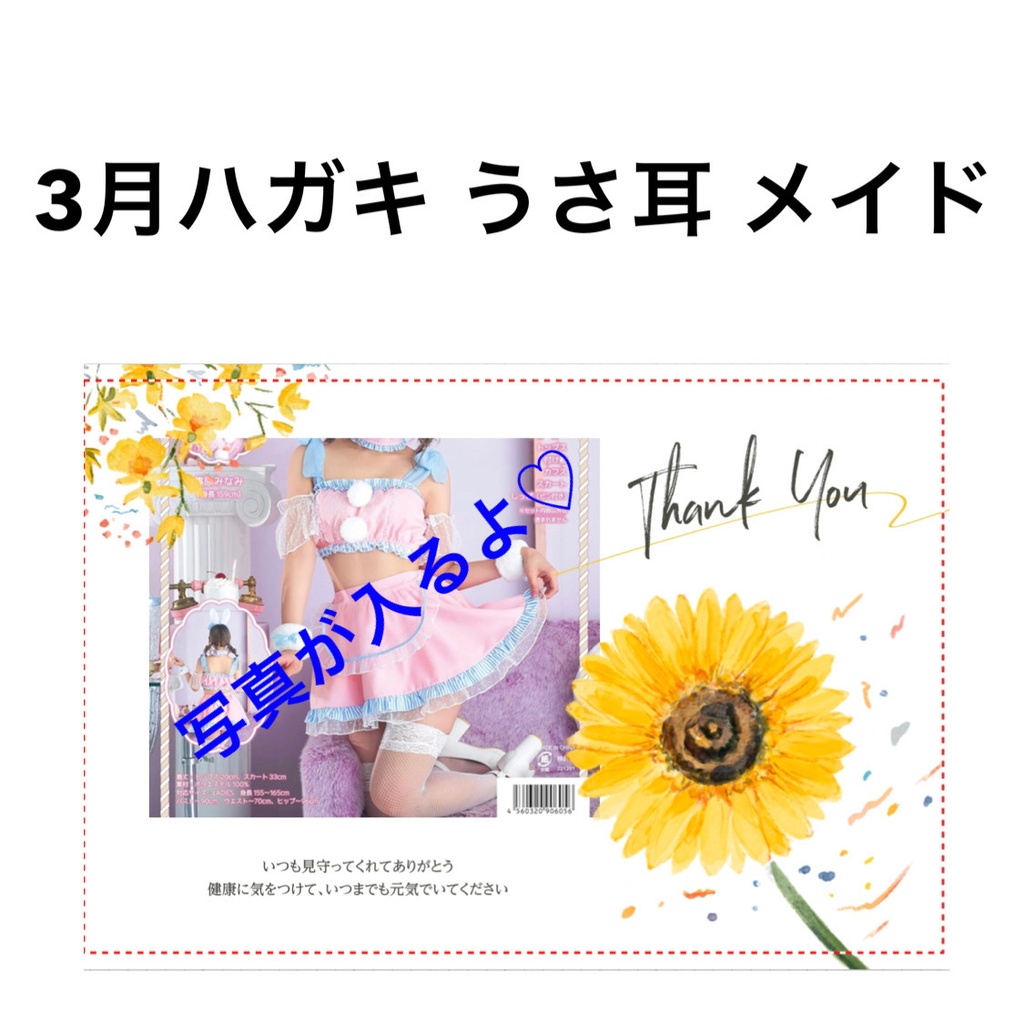うさ耳 メイド ハガキ コスプレ