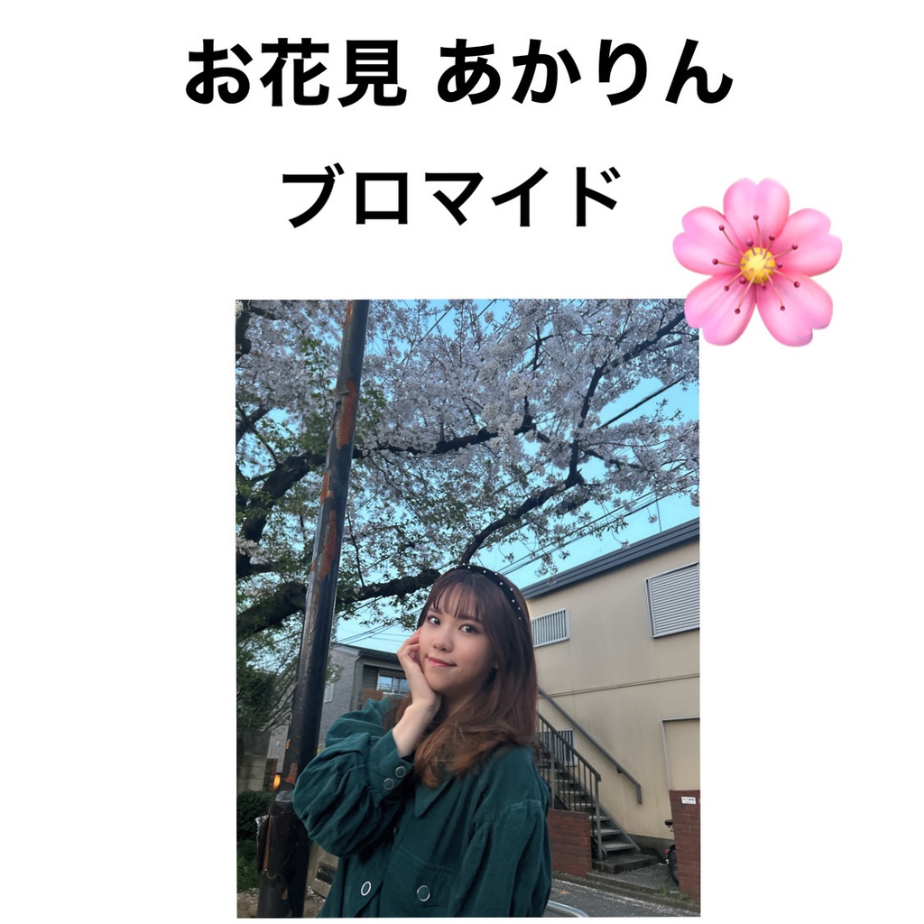お花見 ブロマイド