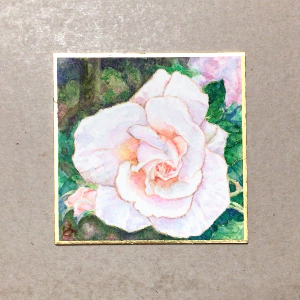 豆色紙　花　白薔薇