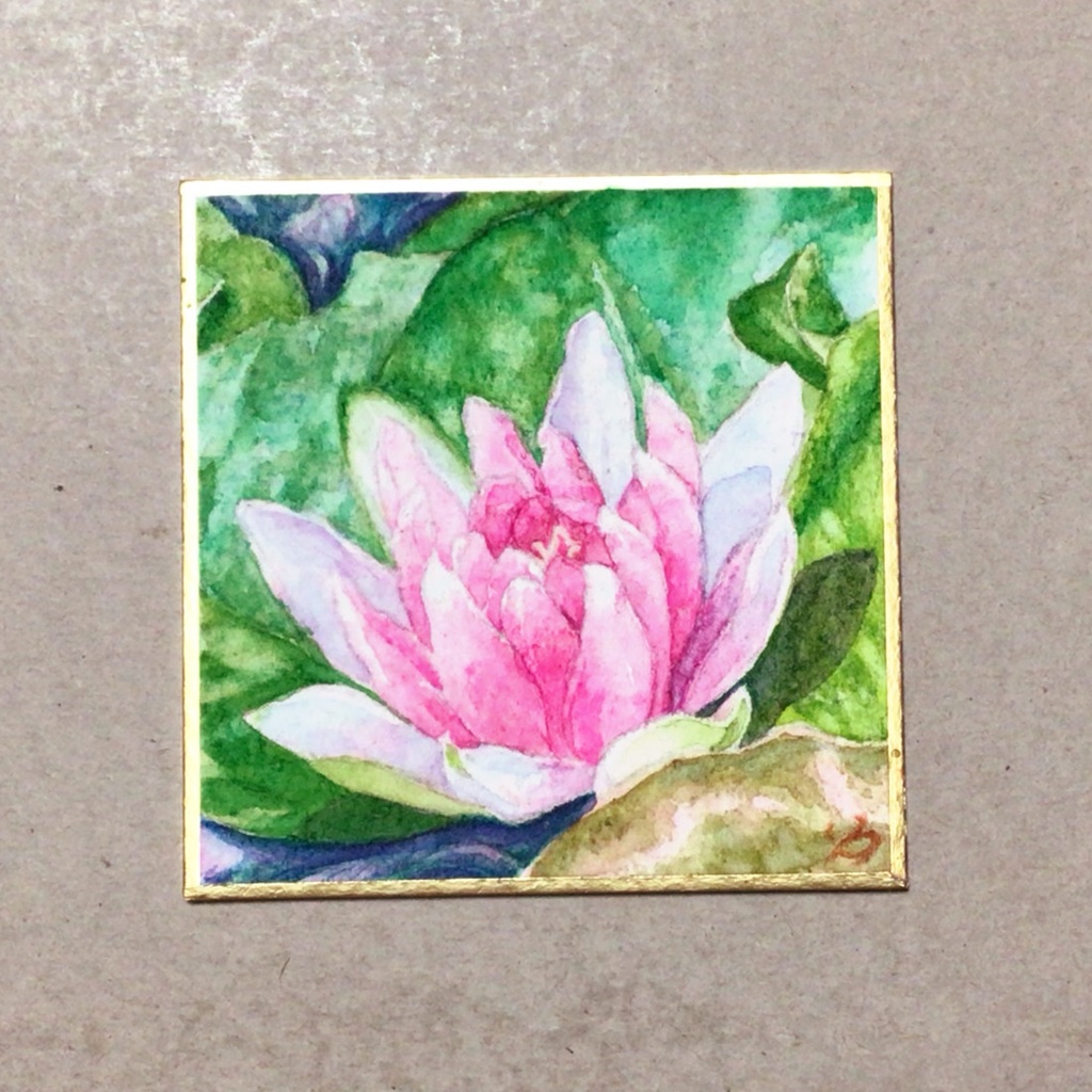 豆色紙　花　睡蓮