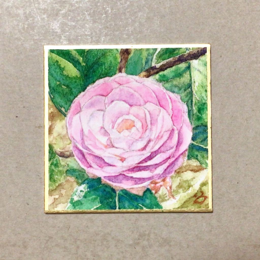 豆色紙　花　椿