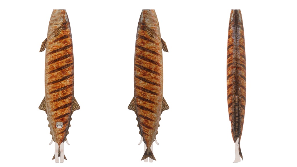 【VRC想定】サンマきぐるみ【まめふれんず対応】