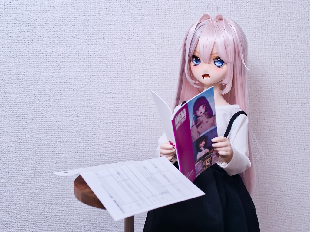 【1/3サイズ(B8)】阿根木産業株式会社 採用案内2027