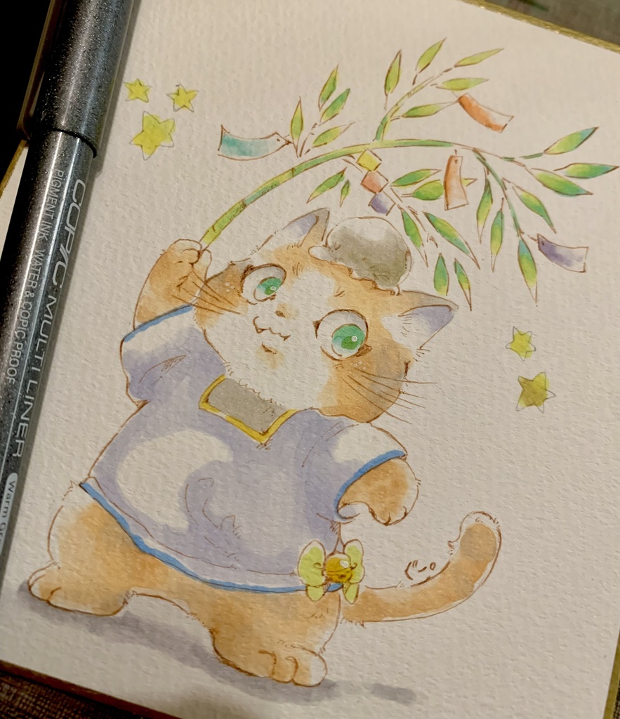 たなばた🎋ねこ