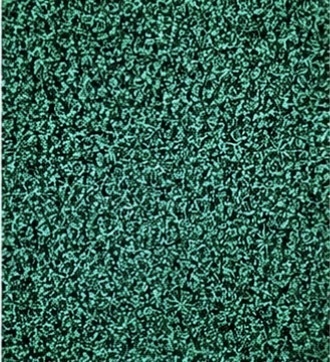 ノイズの中にも、色は生きている。📺✨