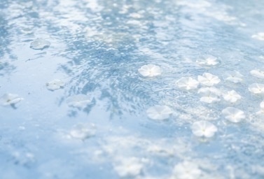 夏の空が水溜りに恋をした…