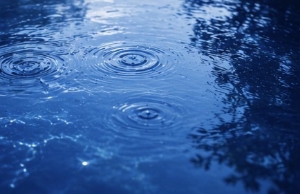 雨上がりの静けさ…