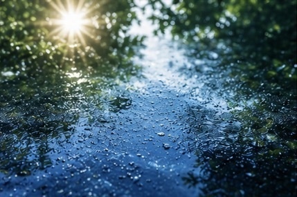 雨上がりの静けさ…