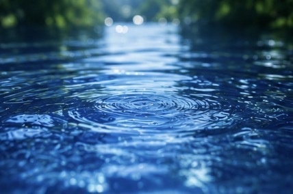 雨上がりの静けさ…