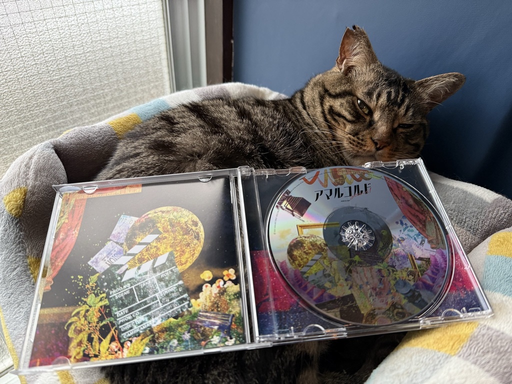 アマルコルド SCENE 1