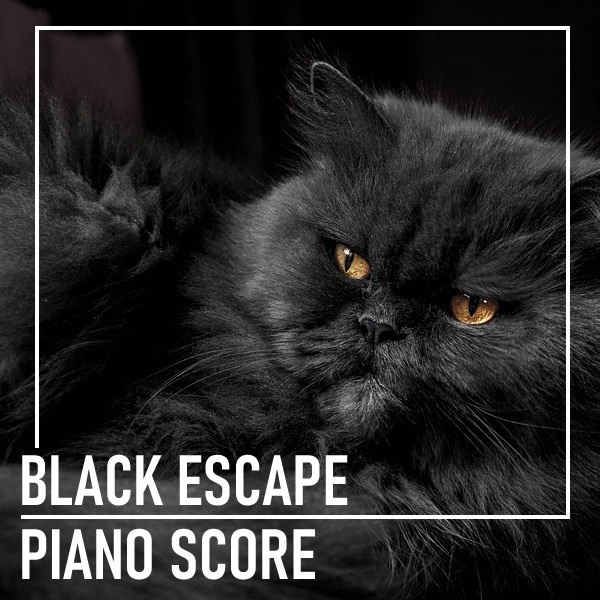 【楽譜】BLACK ESCAPEの楽譜と音源