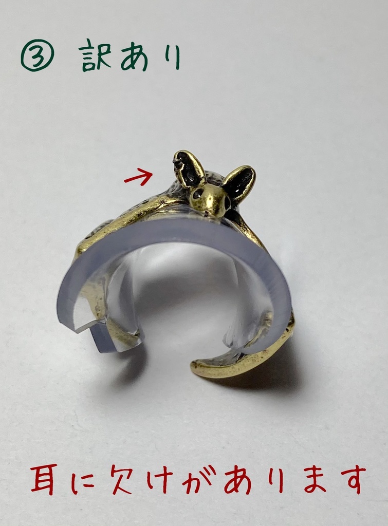 Halloweenリング①