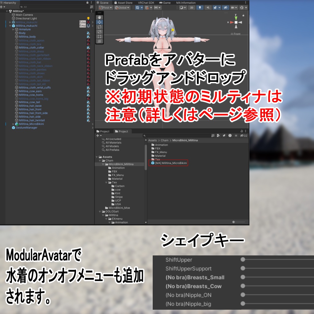 【1.01対応】StringMicroBikini~ミルティナ用~