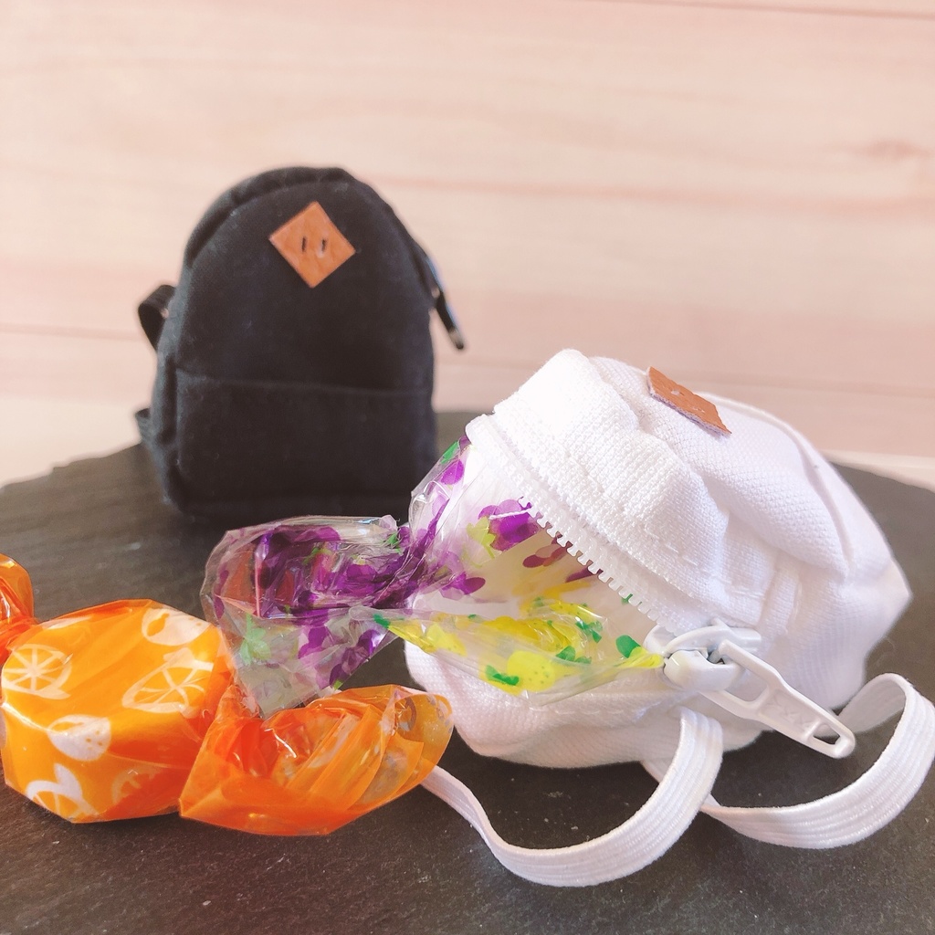 もちマス用リュック