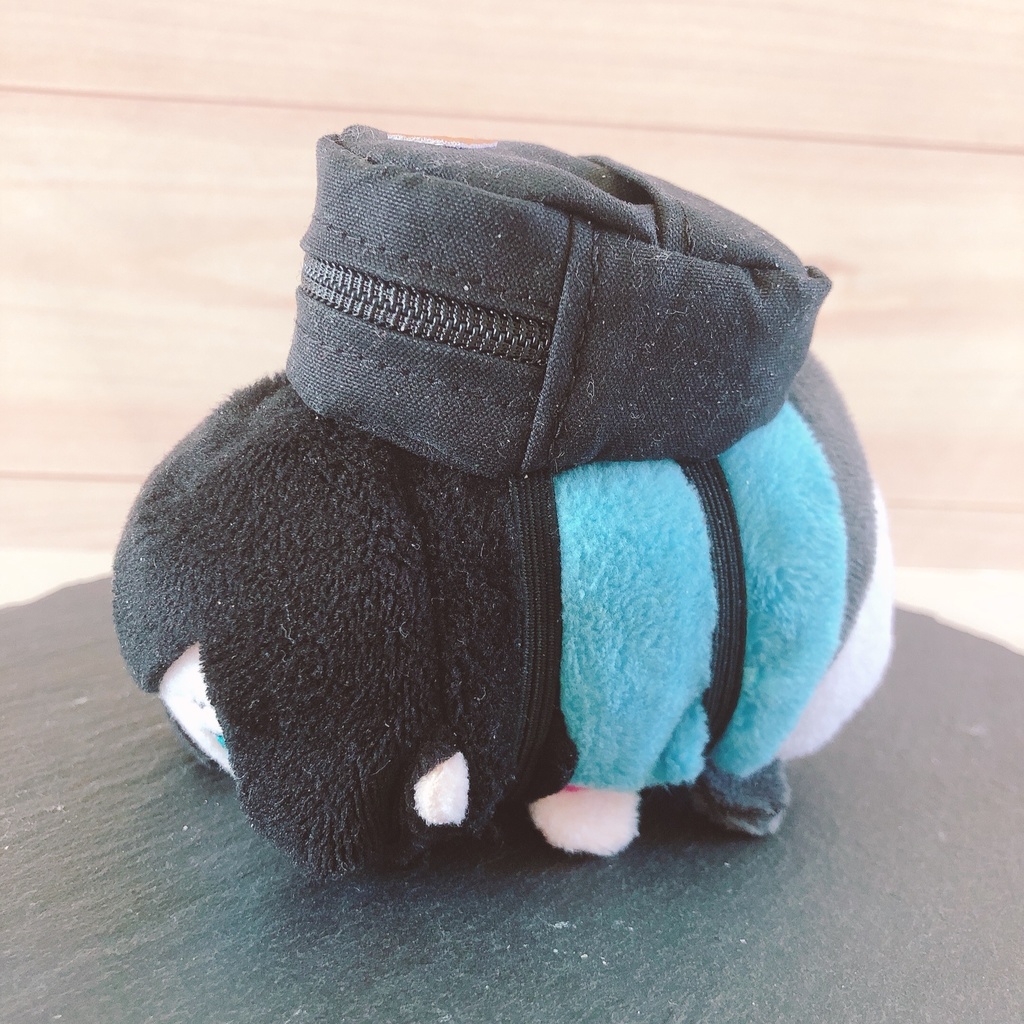 もちマス用リュック