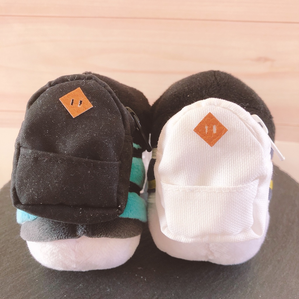 もちマス用リュック