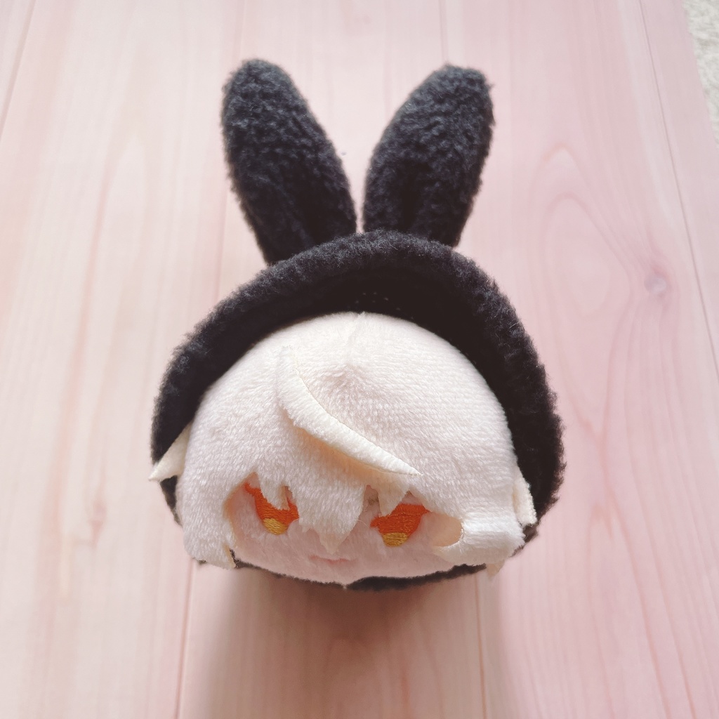 もちマス用うさぎの着ぐるみ