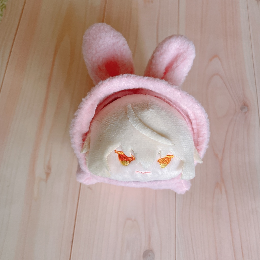 もちマス用うさぎの着ぐるみ