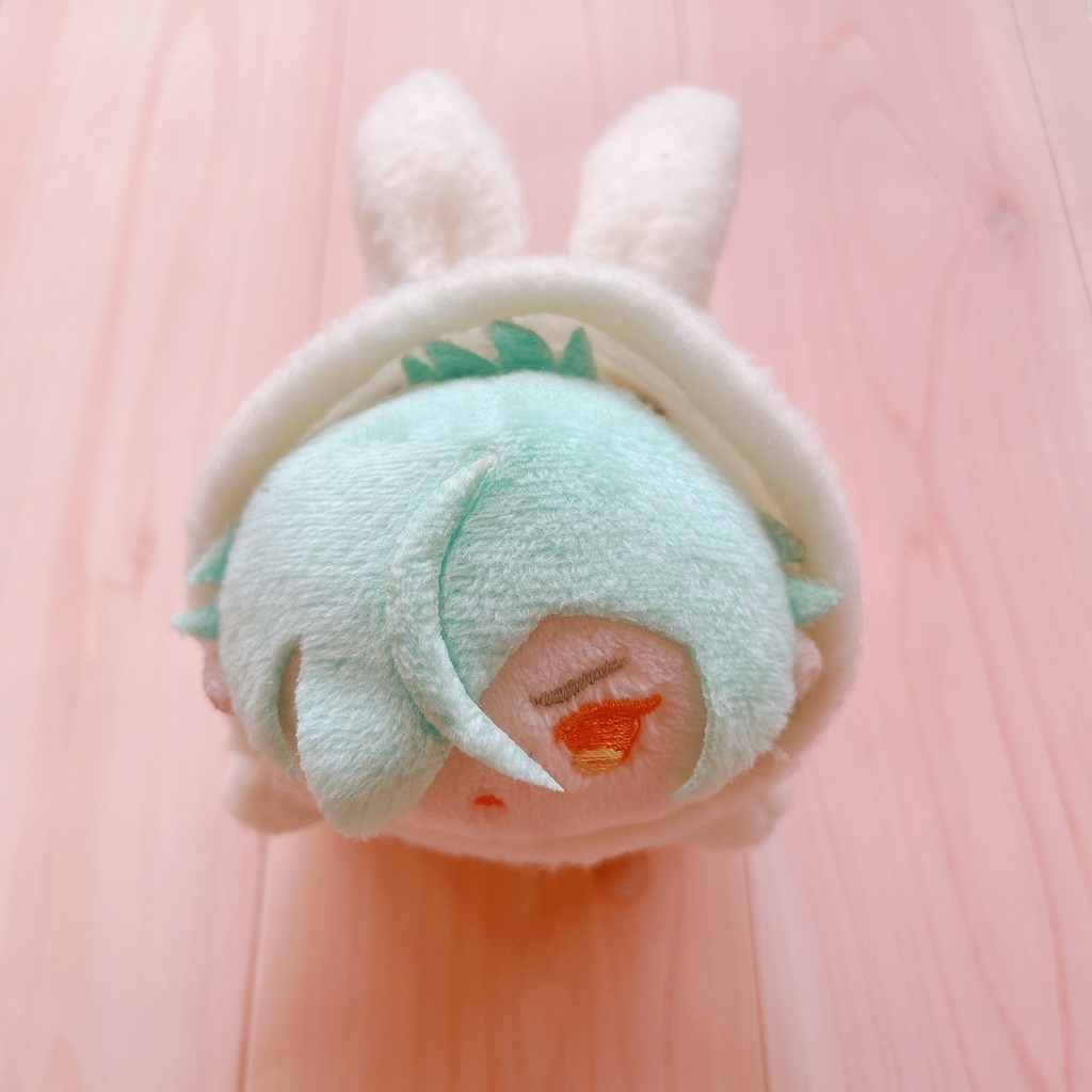 もちマス用うさぎの着ぐるみ