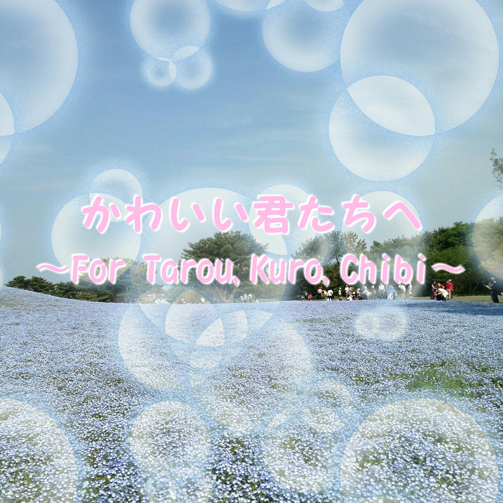 かわいい君たちへ～For Tarou,Kuro,Chibi～ カラオケセット（ダウンロード音源・PDF楽譜）