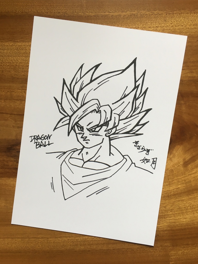 両面 A4ポスター/月うさぎ・サイヤ人・年賀状もどき×サイン描き・超サイヤ人悟空 塗り絵