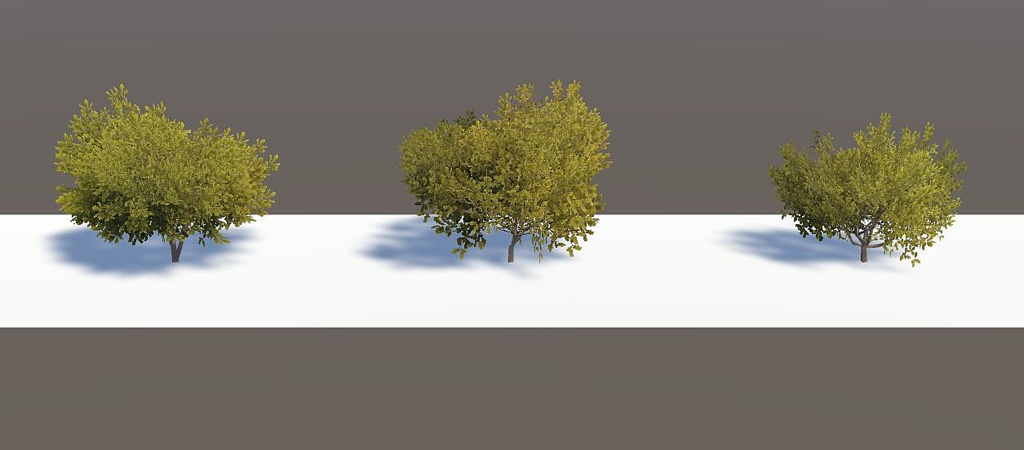 Vegitation set 2: Oak