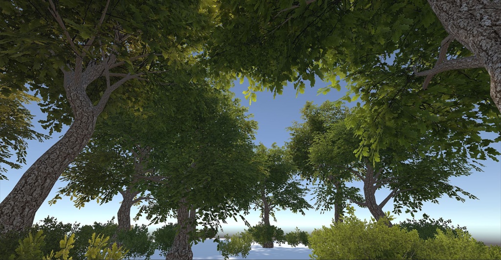 Vegitation set 2: Oak